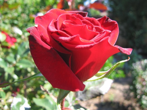 img_1676_m