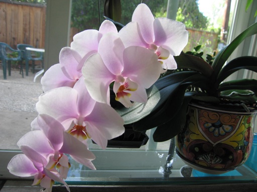 img_2080_m img_2080_m