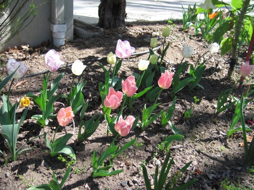 img_2084_m img_2084_m