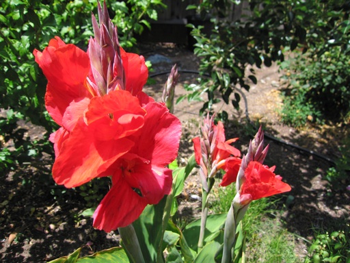 img_2288_m img_2288_m