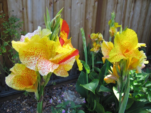 img_2323_m img_2323_m