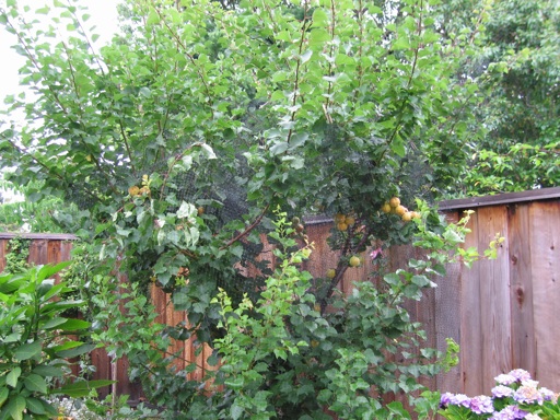img_2328_m img_2328_m