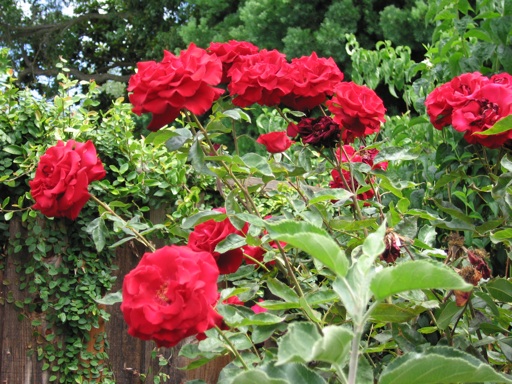 img_2350_m img_2350_m