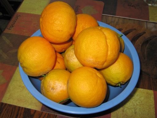 IMG_2383_m IMG_2383_m