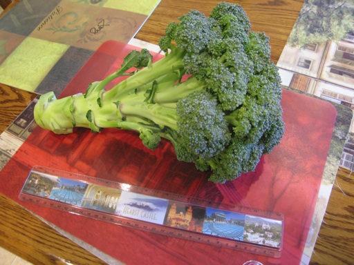 Puttering In The Garden » Vegetables